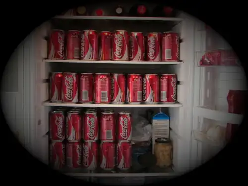 The Fridge